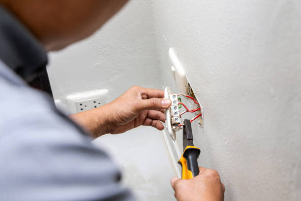 Best Electric Panel Repair  in Aldan, PA